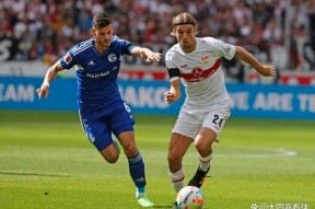 转会期体能课后，斯图加特调整名单备战欧联，球迷炸锅，赛季目标并未改变的简单介绍多米